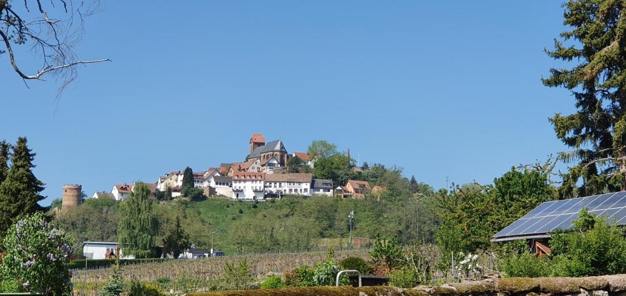 Hotel Landgasthaus "Zum Engel" Neuleiningen Exteriér fotografie