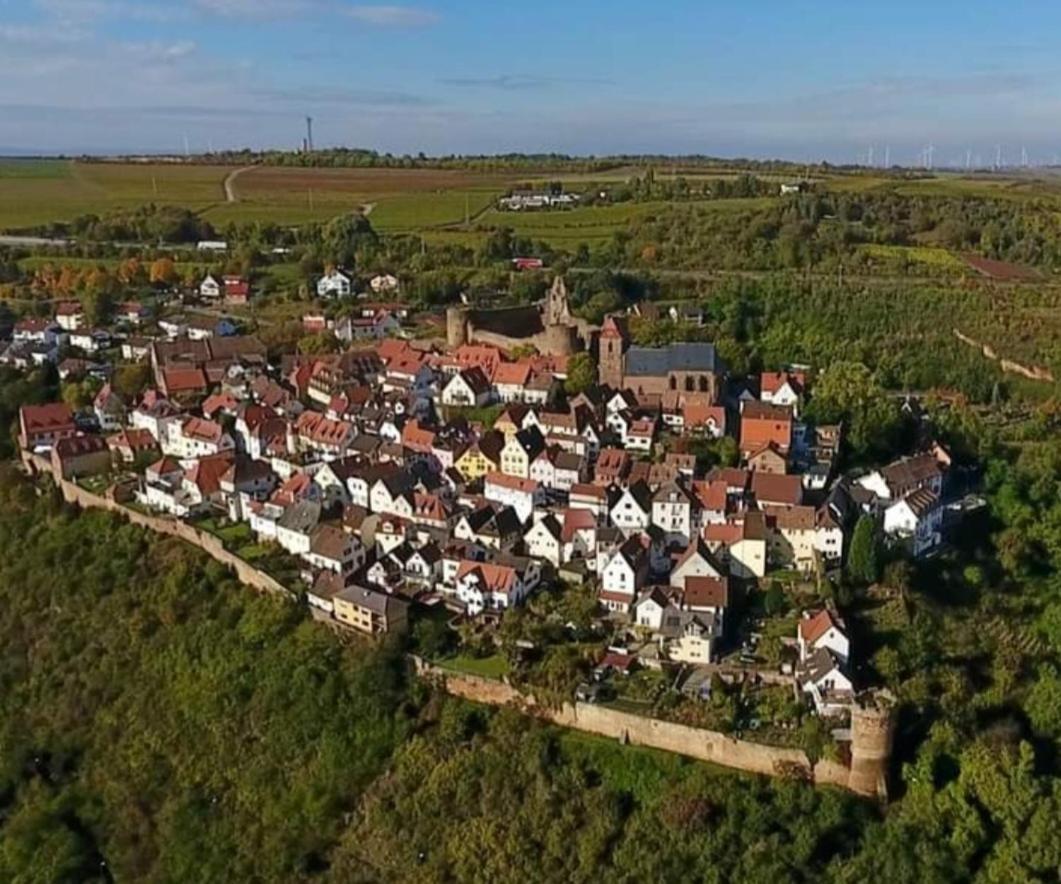 Hotel Landgasthaus "Zum Engel" Neuleiningen Exteriér fotografie